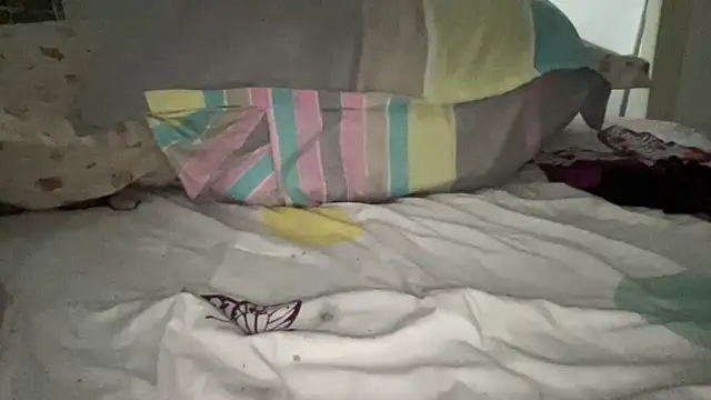 shineofcrazy online show from October 5, 9:14 am