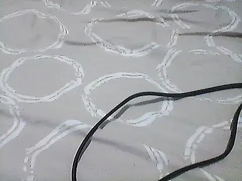 Shauna bruny online show from October 6, 8:31 am