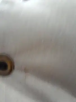 Luna-nevada online show from October 5, 12:04 am