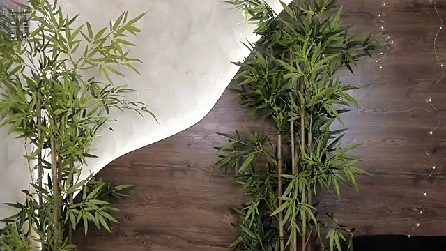 mia lacy  online show from November 23, 7:59 pm