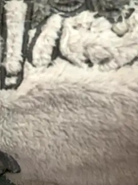 khayaal online show from January 19, 2:13 pm