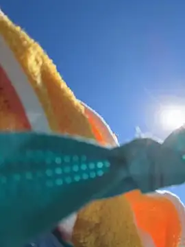 sweetsirenn online show from February 25, 3:54 pm