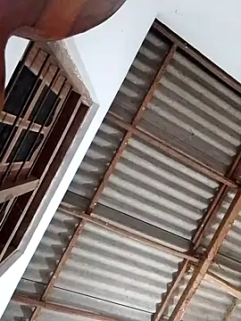 boosypussy online show from November 13, 11:04 pm