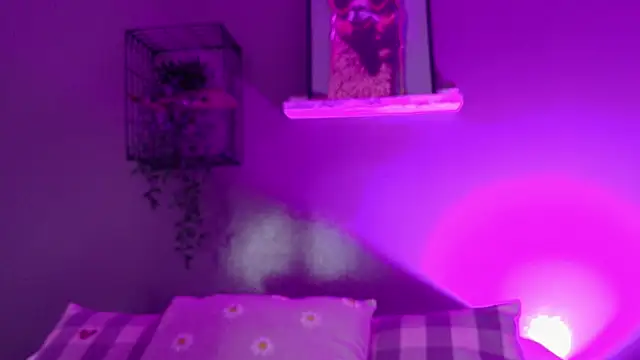 Taylorsmitth  online show from December 4, 11:45 am