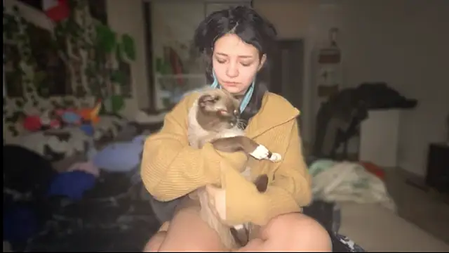 nikoli naw online show from November 29, 8:46 pm