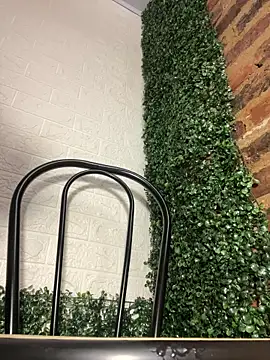 salome Bri online show from February 26, 12:31 am