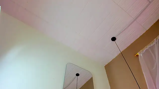 Brenda lot online show from November 23, 6:05 am