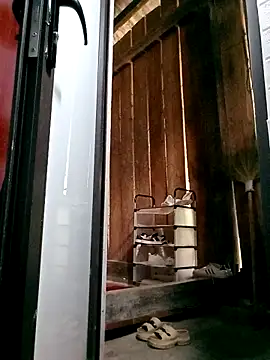 daisy will online show from December 3, 2:14 am