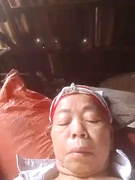 VangLe73 online show from November 7, 3:45 am