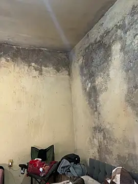 Chloe Leaozinho online show from March 29, 3:00 pm