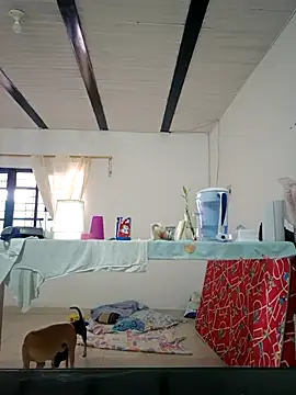 daliataleboficiall online show from November 5, 5:29 pm