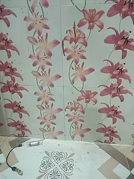 Snapshot of Meenaksi-singh chatting on October 1, 7:41 pm Meenaksi-singh online show from October 1, 7:41 pm