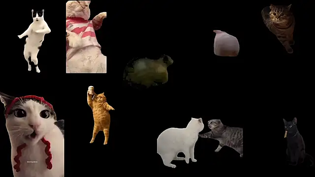 ch0wn m online show from February 1, 3:00 pm