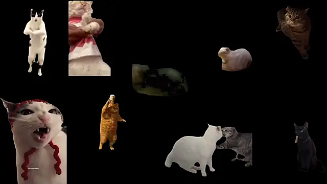 ch0wn m online show from November 14, 1:22 pm