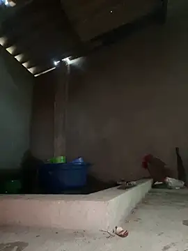 Sunny lotus online show from March 2, 8:54 am