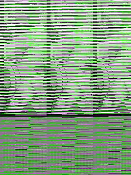 Sunny lotus online show from November 11, 12:28 am