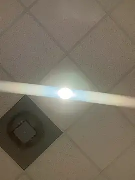 honestlychina online show from April 13, 9:21 am