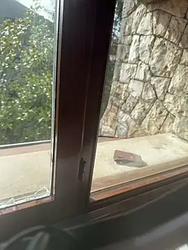 Wildmaca online show from November 2, 11:24 am