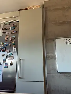 Wildmaca online show from November 25, 9:55 am