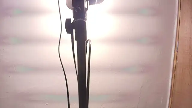 Terraelowen online show from February 25, 11:31 am