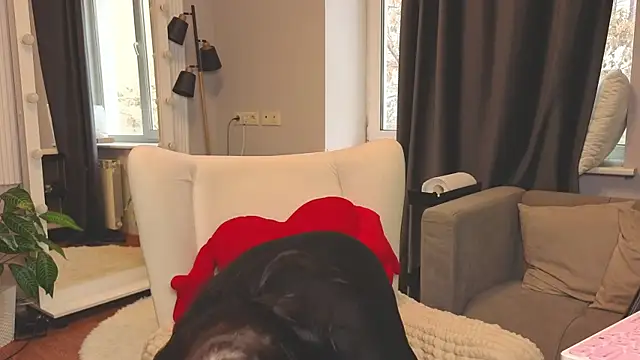 Misa Perfect online show from October 14, 11:35 am