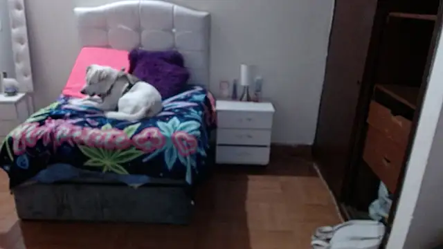 Snapshot of elapetitie chatting on October 3, 4:39 am elapetitie online show from October 3, 4:39 am