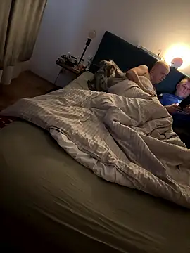 Jaropol online show from January 12, 6:40 am