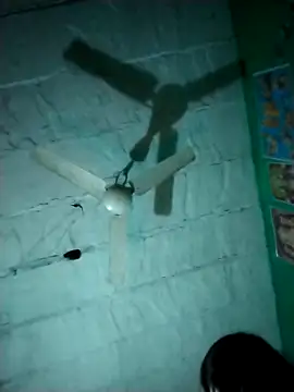 Sexi savita online show from November 27, 10:56 pm