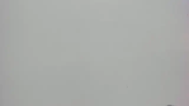 Saammy 17 online show from October 7, 8:02 pm