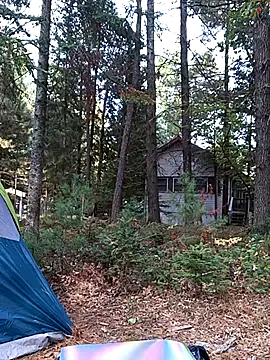 PainPriness online show from October 1, 9:31 pm