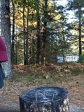 PainPriness online show from October 2, 10:04 pm