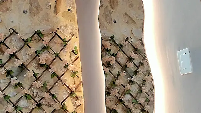 VenusBlazer online show from February 7, 3:21 am