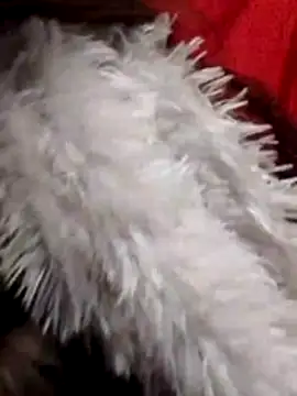 Babe Doll04 online show from January 7, 7:56 am