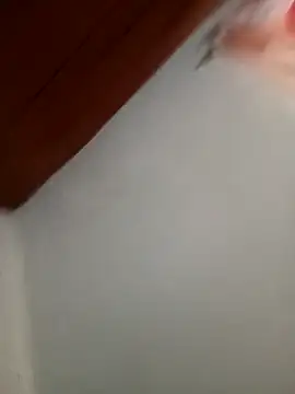 samanthahot11 online show from November 11, 2:14 pm