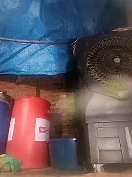 Pinki thakur 1 online show from September 16, 7:44 pm