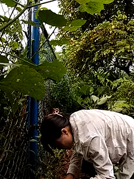 linda bae00 online show from September 27, 5:47 am