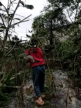 linda bae00 online show from November 12, 9:51 am