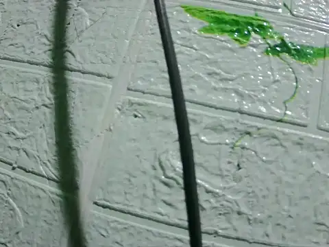 daros453 online show from December 4, 4:37 am