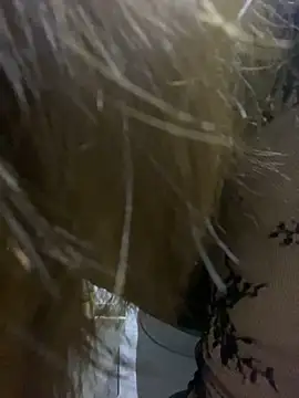 jiajia1060 online show from November 14, 12:43 am