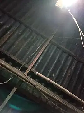  Helala  online show from October 16, 5:37 pm