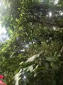 dulcelatin21 online show from November 25, 7:58 pm