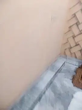 meenu bhabhi547 online show from February 20, 9:00 am