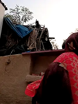 Billo rany online show from November 10, 1:55 am