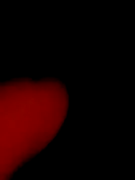 Lisa pusy online show from November 20, 10:33 pm