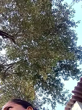 Hot-honi online show from January 10, 11:15 am