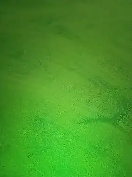 Payal950 online show from October 24, 7:26 am