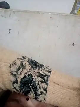 Payal950 online show from December 3, 3:47 pm