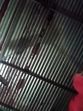 Idhika Jha online show from October 20, 12:24 am