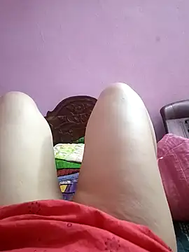 jothitelugu online show from November 1, 6:50 am