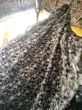 LUCKY cut online show from October 20, 3:09 am